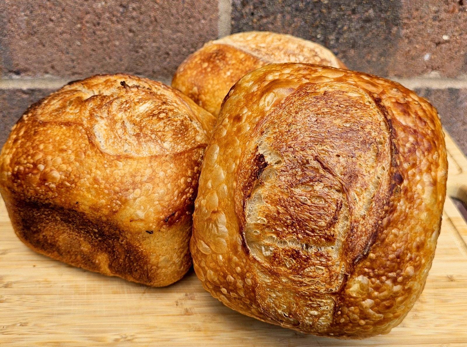 San Francisco Sourdough Loaf