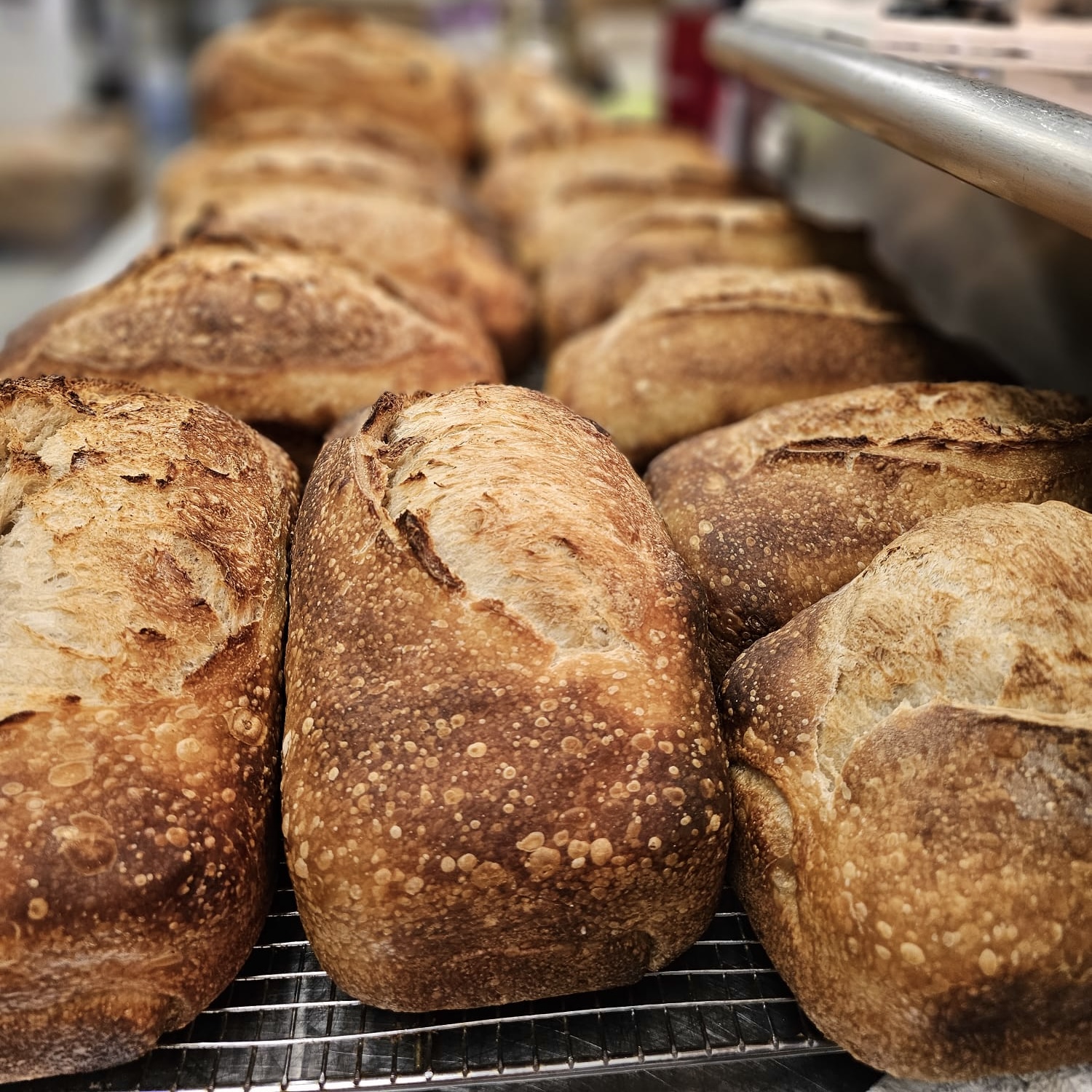 sourdough img